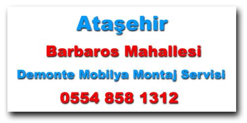 Barbaros Mahallesi Demonte Mobilya Montaj