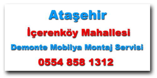 İçerenköy Mahallesi Demonte Mobilya Montaj