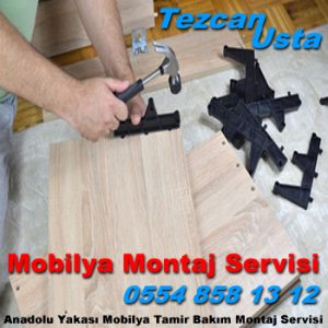 Esatpaşa Mahallesi Mobilya Montaj Servisi