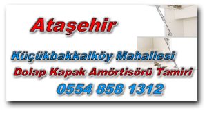 Küçükbakkalköy Mahallesi Dolap Kapak Amortisörü Tamiri