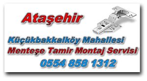 Küçükbakkalköy Mahallesi Dolap Kapak Menteşe Tamiri
