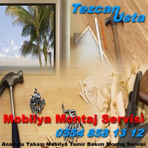 Barbaros Mahallesi Mobilya Montaj Servisi