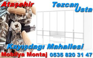 Kayışdagı Mahallesi Mobilya Montaj